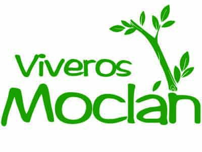 Logo Viveros Moclán